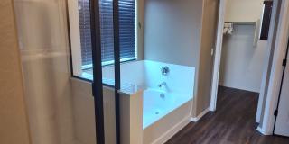 Beautiful 4 Bedroom - 2.5 Bath with Lots of Bonuses - Gilbert Gallery 22