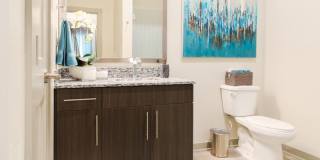 670 E Algonquin Road unit: 4303 Gallery 2