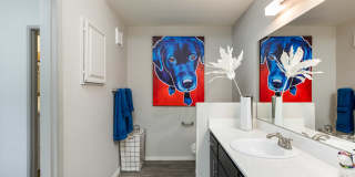 Ventana Canyon Apartments Gallery 12