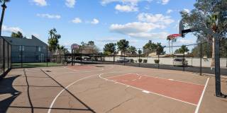 Sierra Walk Gallery 15