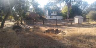 2 Bedroom Single Family Home in Loomis-Bring your Animals! Gallery 1