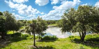 J. Ardin at Apopka Gallery 26