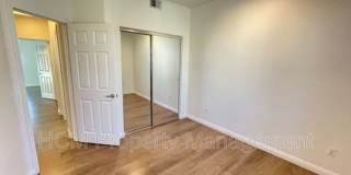 7 Bonsall Gallery 12
