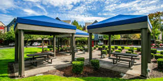 The Colonnade Luxury Townhome Apartments Gallery 16