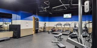 1627 on the Strip Gallery 41