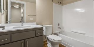 Haller Post Gallery 25