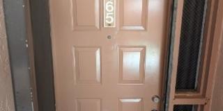 Stunning 3 bedroom 2 bathroom unit available now at Optima Village Gallery 4