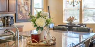 40834 Adriatico Ct Gallery 23