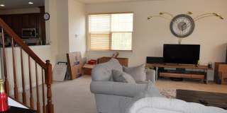390 ENGLISH OAK Lane Gallery 10