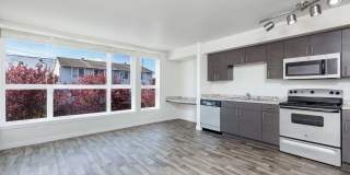 Harlow Heights Gallery 8