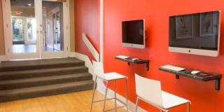 TGM Autumn Woods Gallery 26