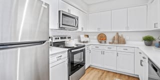 Sheridan Ocean Club Apartments Gallery 58