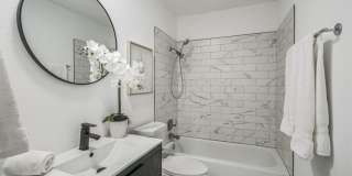 Hill Country Duplex - 1/2 Acre - Oak Hill -  Cool 2Bd 1.5 BA - Totally Remodeled - Carport - $1700 Gallery 8