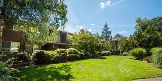 Royal Oaks Gallery 4