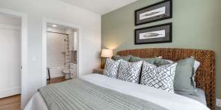 Elan Harvest Green Gallery 24