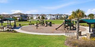 7273 NOTCHED PINE BEND Gallery 45