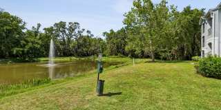 Preserve at Westchase Gallery 34