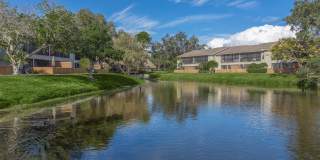 Solana Vista Gallery 24