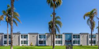 Palmera Chula Vista Gallery 33
