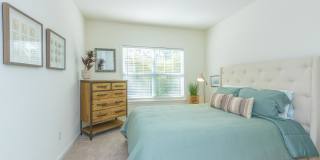 Willow Glen Gallery 32