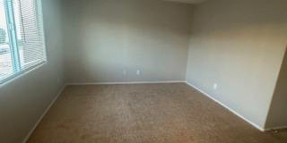 4966 Blue Marlin Avenue Gallery 12