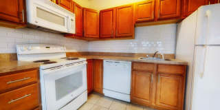 Commonwealth Gardens Gallery 49