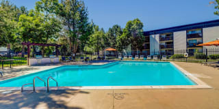 Sage at Panorama Gallery 8