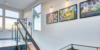 Angeline Gallery 17