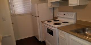 Forest Ridge Gallery 50