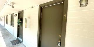 1 Bed/1 Bath Apartment for Rent in Brandon 042! Gallery 3