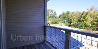 15 Palm Street Gallery 11