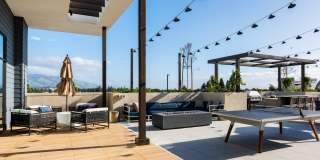 The Tolman Gallery 5