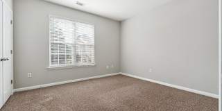 Tree Park Apartments Gallery 9