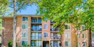 The Timbers at Long Reach Apartments Gallery 2