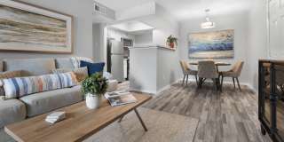 District 2308 Gallery 33