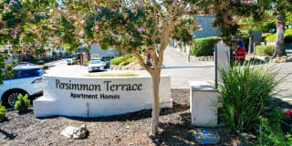 Persimmon Terrace Gallery 25