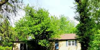 For Rent...300 Bethel, Collinsville Gallery 1