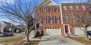 43281 GOOSEFOOT Square Gallery 1