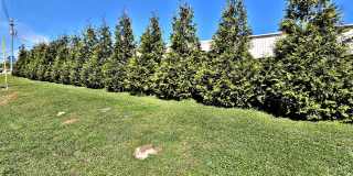 Avalon Cove Townhomes Gallery 21