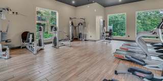 Sabal Palm at Lake Buena Vista Gallery 25