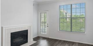 Alvista Bowie Gallery 11