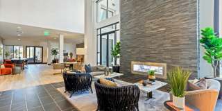 Array La Mesa Gallery 19