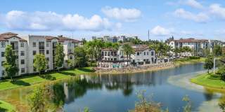 The Point at Lakeside Gallery 9