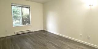 Olympic View Apartments Gallery 14
