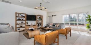 Steeplechase Gallery 4