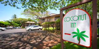 Coconut Inn Gallery 10