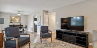 Buena Vista Gallery 81