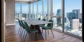 The Merian Gallery 17