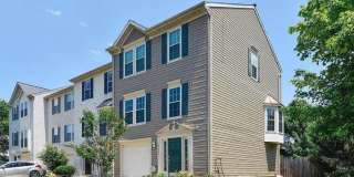 43222 CHOKEBERRY Square Gallery 1