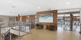 Sola Galleria Gallery 25